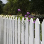 Fence Staining Lee's Summit, Mo