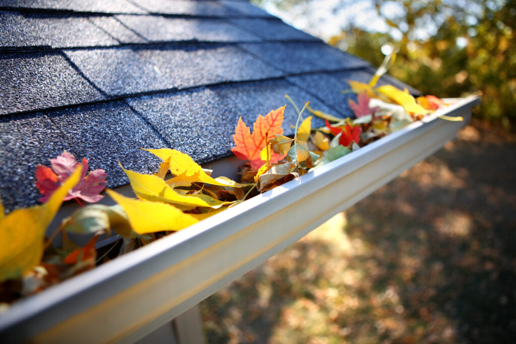 Gutter Cleaning Lee's Summit, MO